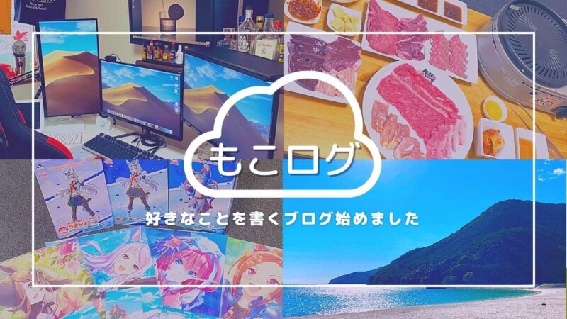 好きなことを楽しく、新しいブログ『もこログ』を始めました