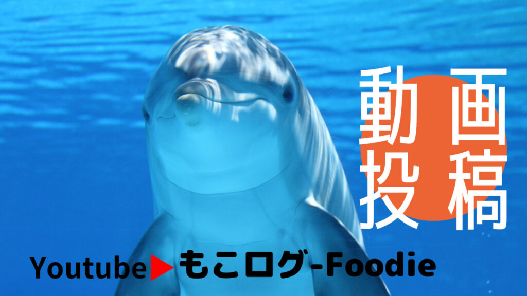 Youtubeで『もこログ-Foodie』動画投稿を始めたら、結構楽しい